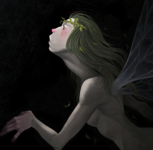 Illustration - Starting price $250